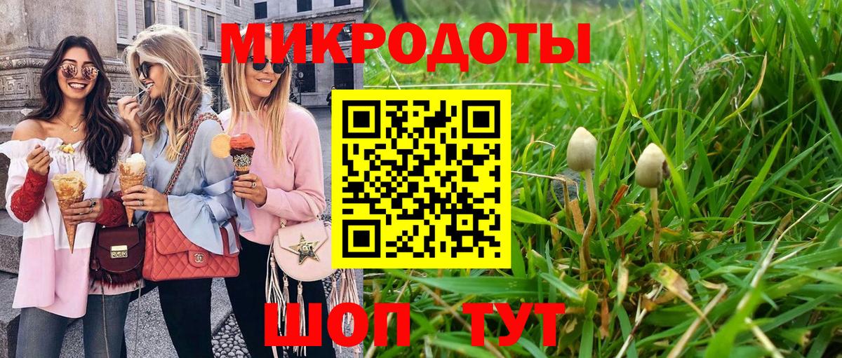 Галлюциногенные грибы Magic Shrooms Шадринск